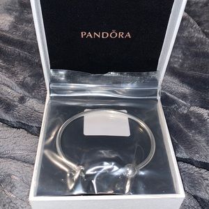 Brand NEW pandora bracelet